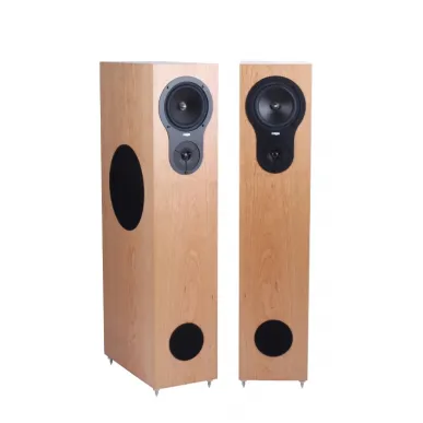 Напольная акустика Rega RX-5 CHERRY